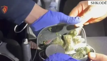 Me drogë me vete në makinë gati për shitje, arrestohen dy të rinjtë në Shkodër
