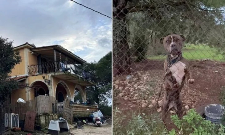 ‘Më mori fëmijën’, babai i 2-vjeçarit flet pas sulmit vdekjeprurës nga qeni pitbull: Djali më pa, më buzëqeshi dhe…