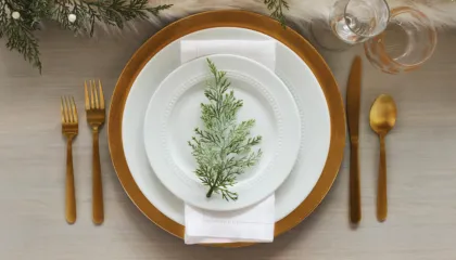 Mënyra e Duhur e Shtrimit të Tryezës për Çdo Rast