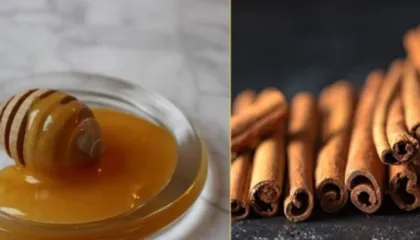 Mjaltë me Kanellë, ja si të bëni vetë antibiotikun natyral