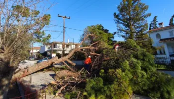 Moti i keq/ Stuhia shkul pemët dhe rrafshon linjat e energjisë, raportohet për borë, shi dhe acar polar