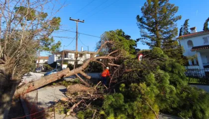 Moti i keq/ Stuhia shkul pemët dhe rrafshon linjat e energjisë, raportohet për borë, shi dhe acar polar