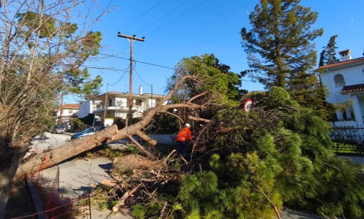 Moti i keq/ Stuhia shkul pemët dhe rrafshon linjat e energjisë, raportohet për borë, shi dhe acar polar