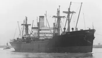 “Mrekullia e Krishtlindjeve”, Historia e pesë foshnjave të lindura gjatë evakuimit dramatik në Luftën Koreane