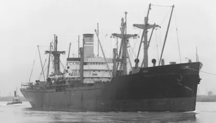 “Mrekullia e Krishtlindjeve”, Historia e pesë foshnjave të lindura gjatë evakuimit dramatik në Luftën Koreane