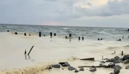 Ndotje nga vaji i lulediellit në Detin e Zi pas sulmeve ruse në Odessa