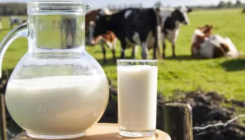 Në mëngjes apo në mbrëmje? Zbuloni kur duhet pirë qumështi