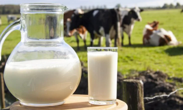 Në mëngjes apo në mbrëmje? Zbuloni kur duhet pirë qumështi