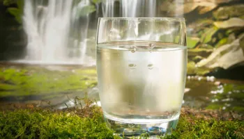 Nga Mëngjesi Deri në Darkë – Sa Gota me Ujë Duhet të Pini