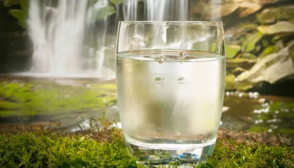 Nga Mëngjesi Deri në Darkë – Sa Gota me Ujë Duhet të Pini