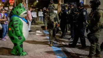 Nga Pepe te protestat anti-ICE, si u shndërrua bretkosa meme e ekstremit të djathtë kundër Trump