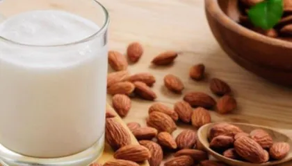 Nga qumështi te vezët, ja cilat janë ushqimet më të mira për shëndetin e kockave