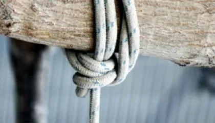 Ngjarja tragjike, nëna i jep fund jetës duke u vetëvarur, pasi gjeti djalin 42- vjeçar të pajetë…