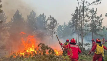 Nis kompensimi për dëmet nga zjarri: 191.5 milionë lekë të vendosura në dispozicion për 10 bashki