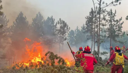Nis kompensimi për dëmet nga zjarri: 191.5 milionë lekë të vendosura në dispozicion për 10 bashki
