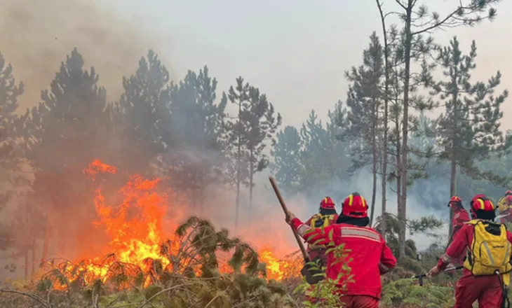 Nis kompensimi për dëmet nga zjarri: 191.5 milionë lekë të vendosura në dispozicion për 10 bashki