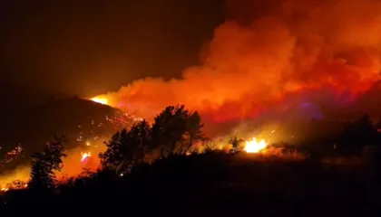 Nis kompensimi për dëmet nga zjarri, Ministria e Mbrojtjes: 191.5 milionë lekë të vendosura në dispozicion për 10 bashki