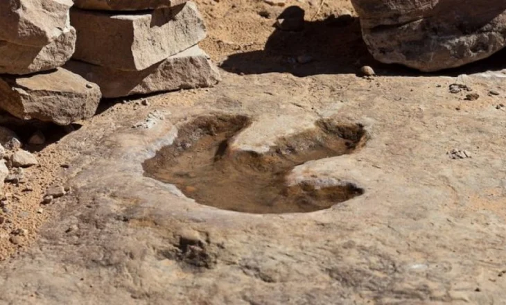 Numër rekord gjurmësh të fosilizuara të dinozaurëve në Bolivi