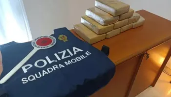 Operacion i madh antidrogë në disa qytete italiane, arrestohen 384 persona, sekuestrohen 1400 kg drogë