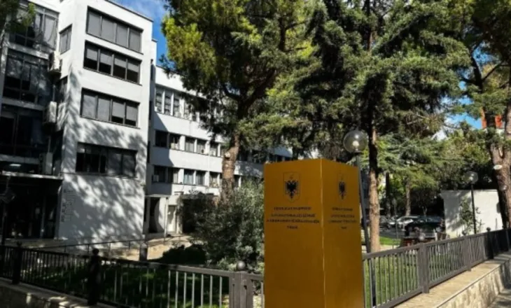 “Ore ça ka ky qeni që flet? ”, arrestimi i 22 personave të grupit kriminal në Tiranë që shpërndante kokainë, si ranë në kurthin e policëve të infiltruar (DOSJA)