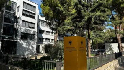 “Ore ça ka ky qeni që flet?”/ Arrestimi i 22 personave të grupit kriminal në Tiranë që shpërndante kokainë, si ranë në kurthin e policëve të infiltruar (DOSJA)