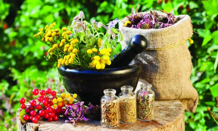 Pas 3 vitesh krize, rriten me 10% eksportet dhe çmimet e bimëve mjekësore për periudhën janar-tetor