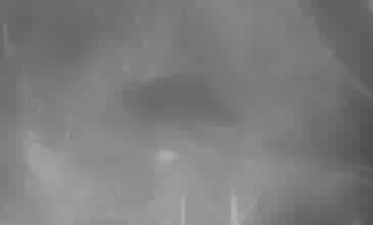 Pas 400 vitesh zhdukje, kastori i egër rishfaqet në Norfolk të Anglisë