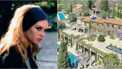 Pas ndarjes nga jeta të Brigitte Bardot, dilema e trashëgimisë dhe pasurisë së saj, raportet me djalin dhe testamenti