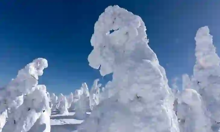 Përbindëshat e dëborës në Japoni po zhduken