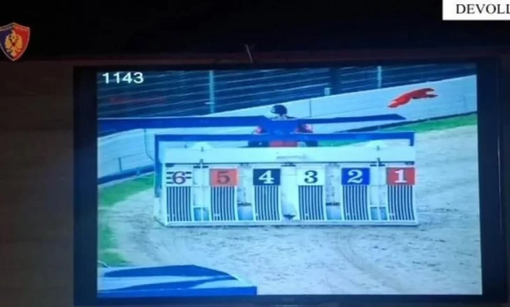 Përshtatën lokalin për organizimin e lojrave të fatit! Në pranga administratori dhe menaxheri, nis hetimi edhe për dy klientët