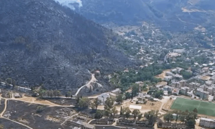 Plani i ri i qeverisë: Rrjet kombëtar fidanishtesh për rritjen e pyjeve dhe hapësirave të gjelbra