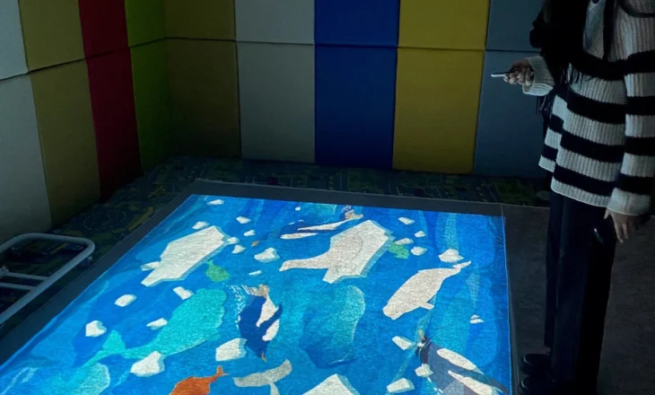 Polakët sjellin “Tapetin Magjik” për fëmijët shqiptarë