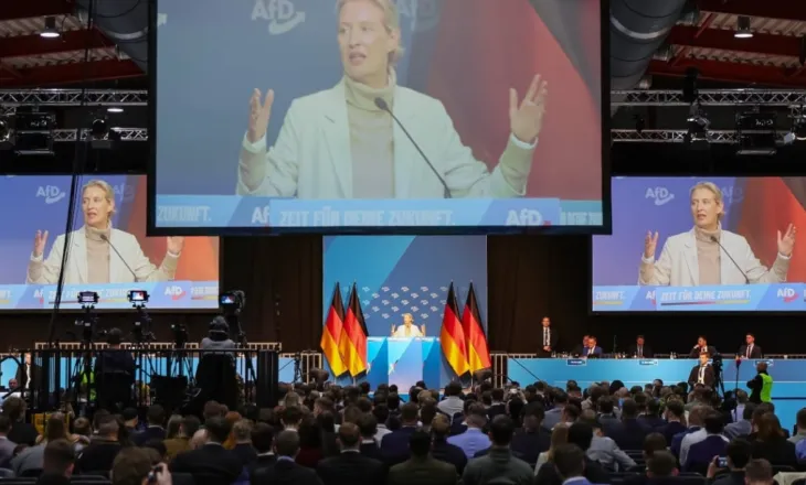 Policia, shërbimet sekrete dhe drejtësia nën presion në Gjermani, toleranca e AfD-së shqetësuese
