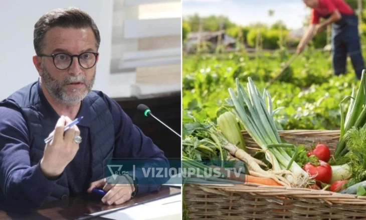 “Prodhimi shqiptar kushton më shumë”, Braçe përplaset me përfaqësuesen e Financave: Po u bëni nder serbëve dhe boshnjakëve