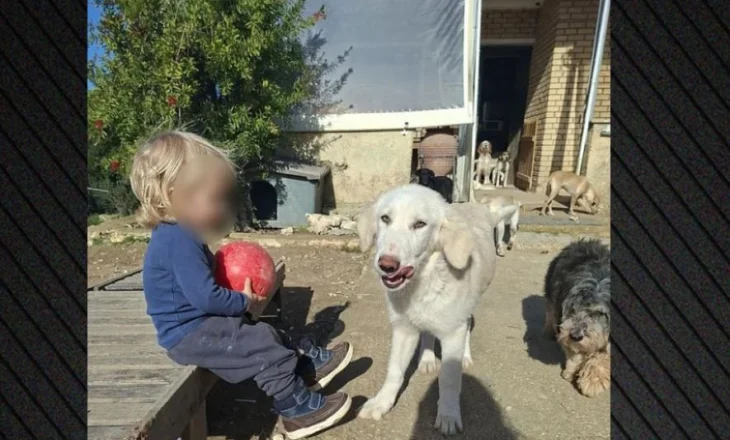 “Qeni u frikësua nga të shtënat e gjuetarëve dhe sulmoi fëmijën tim!”Deklarimi prekës i nënë së 2-vjeçarit shqiptar që e vrau pitbulli