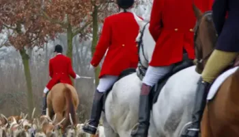 Qeveria britanike ndalon gjuetinë me gjurmë në Angli dhe Uells