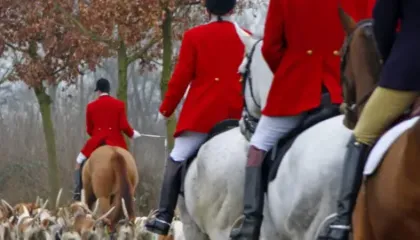 Qeveria britanike ndalon gjuetinë me gjurmë në Angli dhe Uells