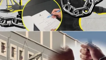 Qeveria rikthen amnistinë penale, lirohen nga burgu rreth 380 persona, ulet dënimi për 900 të tjerë, ja kategoritë…
