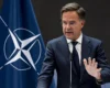 “Reagimi do jetë shkatërrues”, Rutte: Ukraina do të jetë vija e parë e mbrojtjes