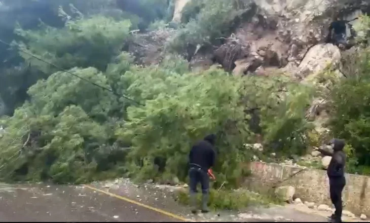 Reshjet e shiut/ Rrëzohet pema në Radhimë, bllokon një kah të rrugës