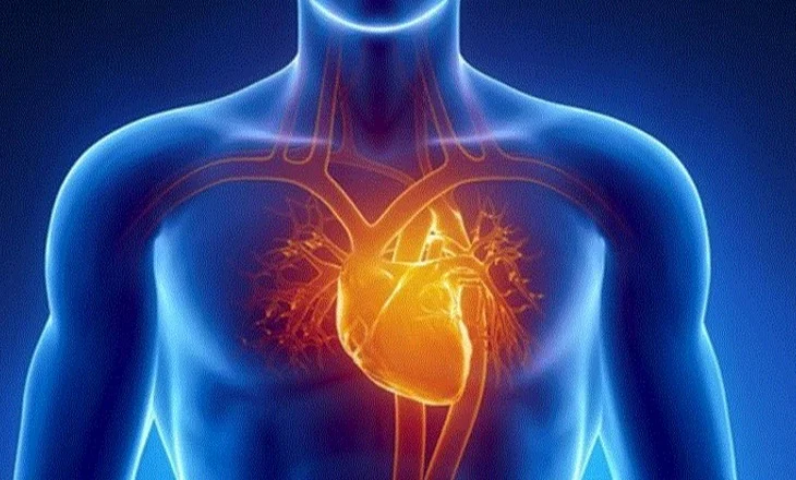 Sa “vjeç” është zemra juaj? Si matet mosha biologjike e saj dhe si vlerësohet rreziku kardiak