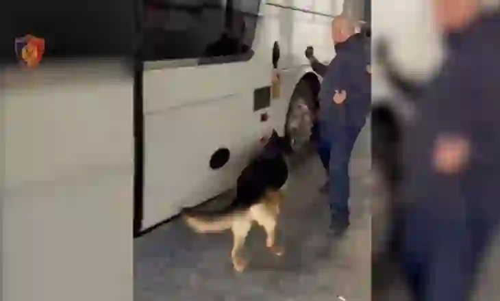 Sekuestrohet drogë, armë dhe mijëra euro në Portin e Durrësit! Arrestohet shoferi i autobusit