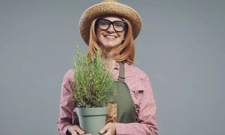 Sëmundja e Alzheimerit, ja bima aromatike që përmirëson kujtesën dhe lufton inflamacionin