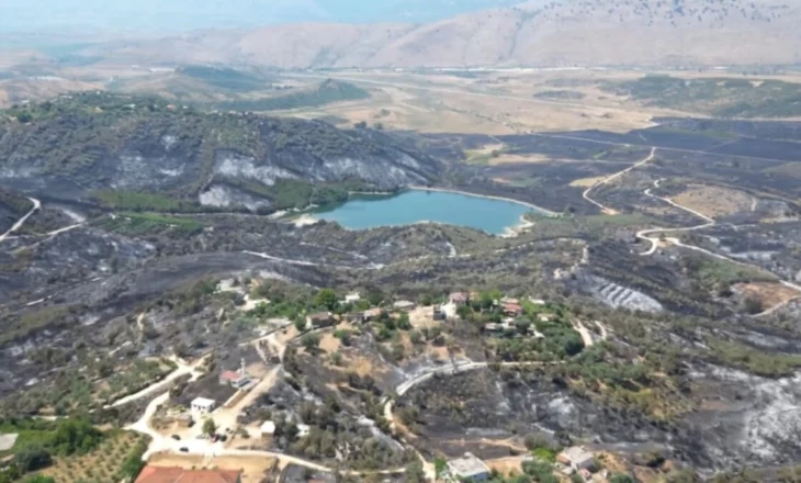 Sezon i dobët për ullirin/ Ankohen fermerët: U dëmtuam nga zjarret, përmbytjet dhe ndryshimet klimatike