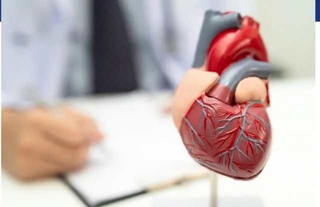 Shenjat e hershme të një ataku në zemër që ndodhin shpesh në dimër