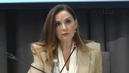 Shqyrtimi i investimeve të huaja, Tabaku: Shqipëria ka nevojë për një ligj serioz dhe në linjë me BE dhe SHBA