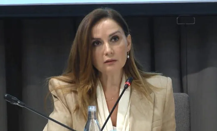 Shqyrtimi i investimeve të huaja, Tabaku: Shqipëria ka nevojë për një ligj serioz dhe në linjë me BE dhe SHBA