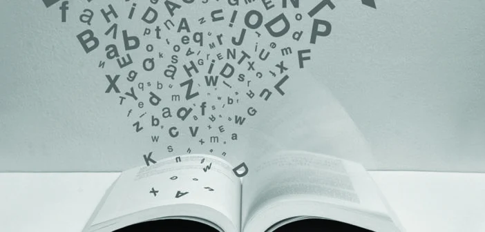 Shumica gabojnë: “Përgjegjsi” apo “përgjegjësi”, ja si duhet të shkruhet…