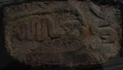 Si përfytyrohej ‘Gjarpri i Shtëpisë’ në ritet dhe besimet popullore shqiptare