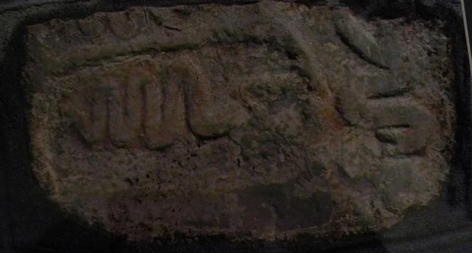 Si përfytyrohej ‘Gjarpri i Shtëpisë’ në ritet dhe besimet popullore shqiptare